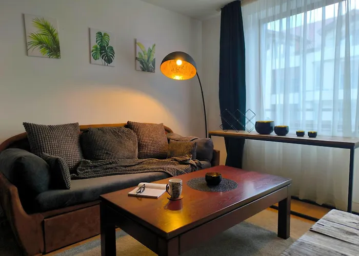 Botanique - Cozy With Free Bottle Of Wine 班斯科